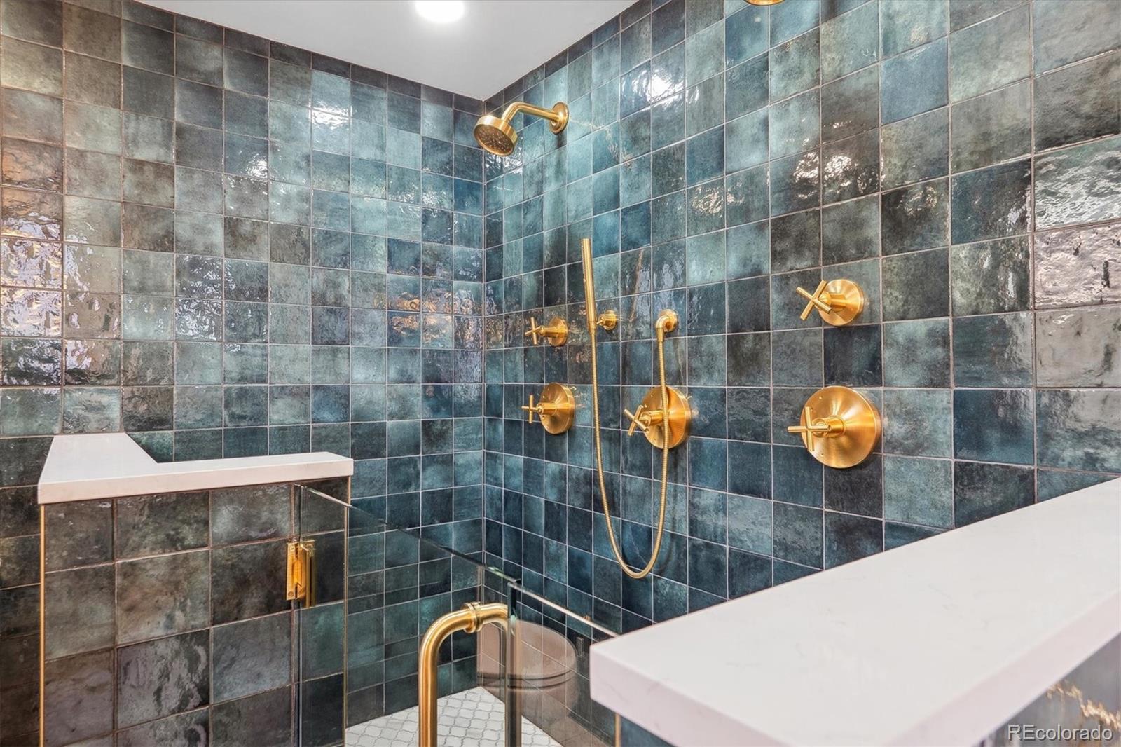 MLS Image #26 for 1022 n pearl street 101,denver, Colorado