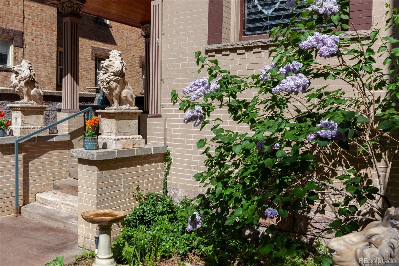 MLS Image #42 for 1022 n pearl street 101,denver, Colorado