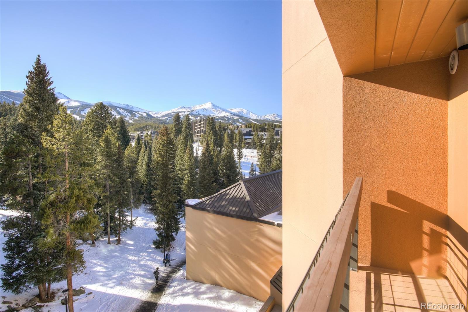 MLS Image #17 for 655  columbine road,breckenridge, Colorado