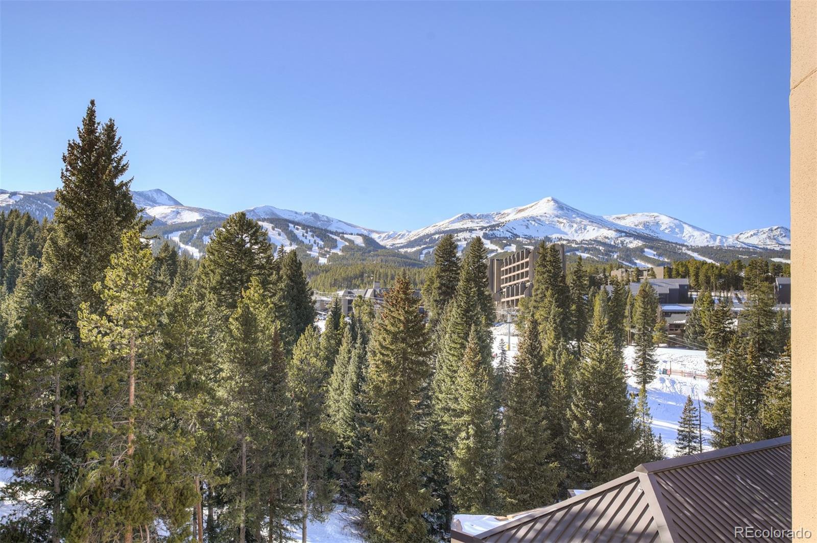 MLS Image #18 for 655  columbine road,breckenridge, Colorado