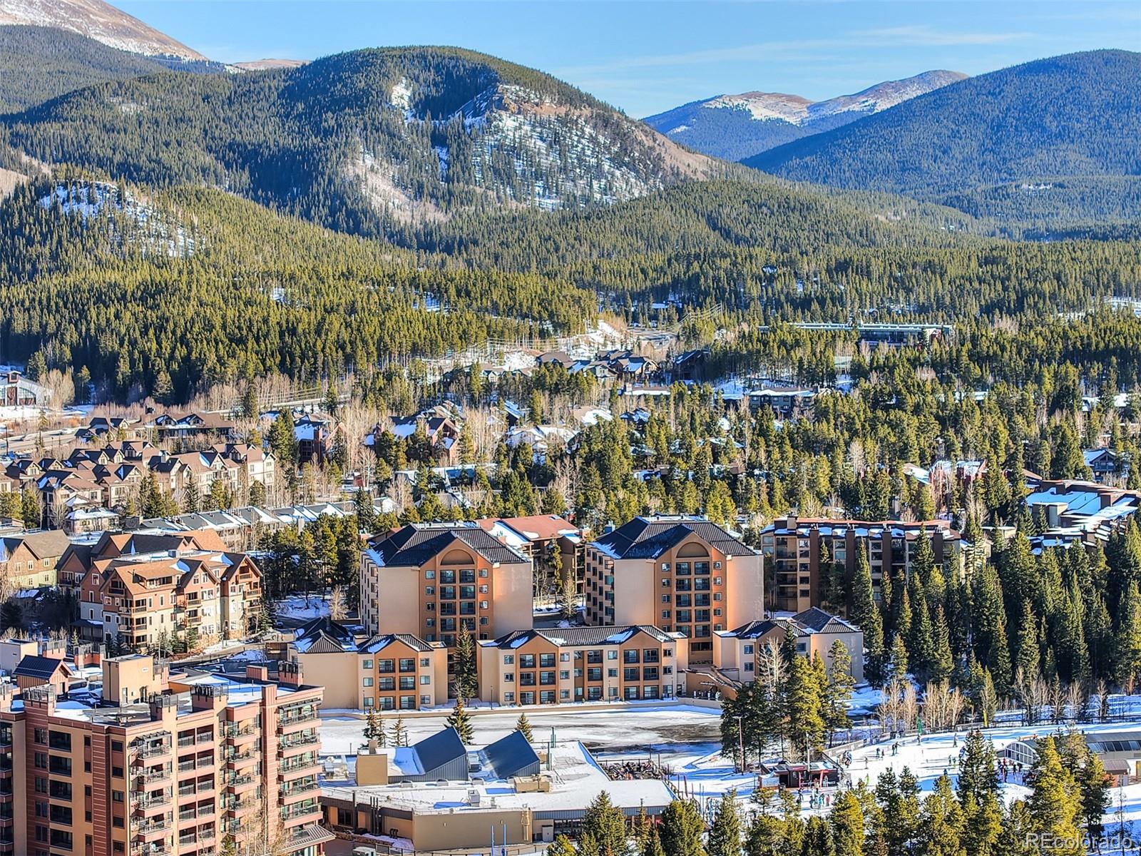 MLS Image #43 for 655  columbine road,breckenridge, Colorado
