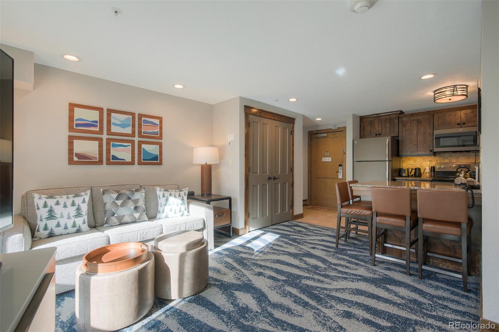 MLS Image #8 for 655  columbine road,breckenridge, Colorado