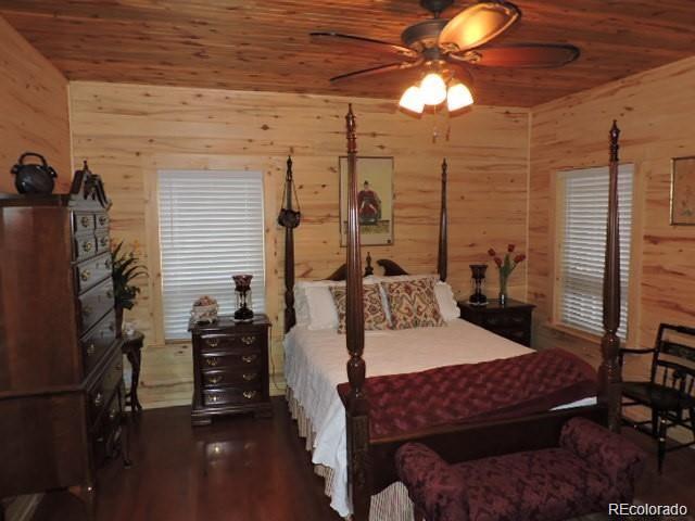 MLS Image #14 for 2137  riccardo lane ,fort garland, Colorado