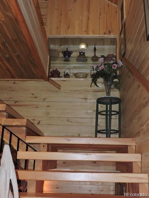 MLS Image #20 for 2137  riccardo lane ,fort garland, Colorado