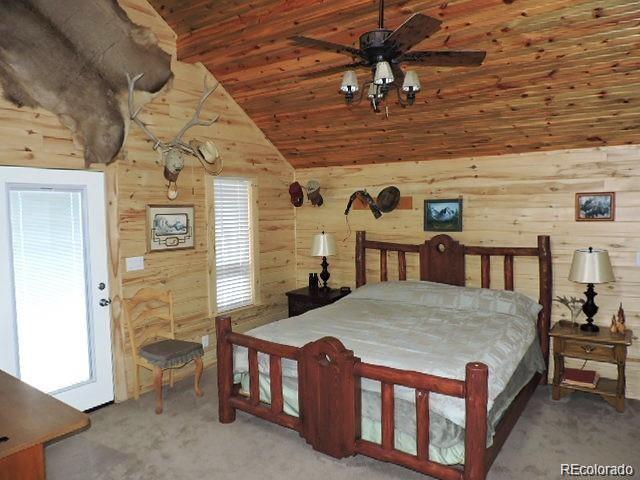 MLS Image #21 for 2137  riccardo lane ,fort garland, Colorado