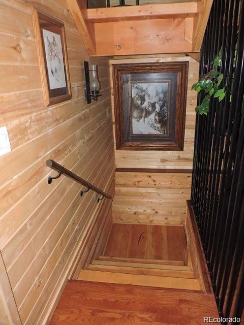 MLS Image #28 for 2137  riccardo lane ,fort garland, Colorado