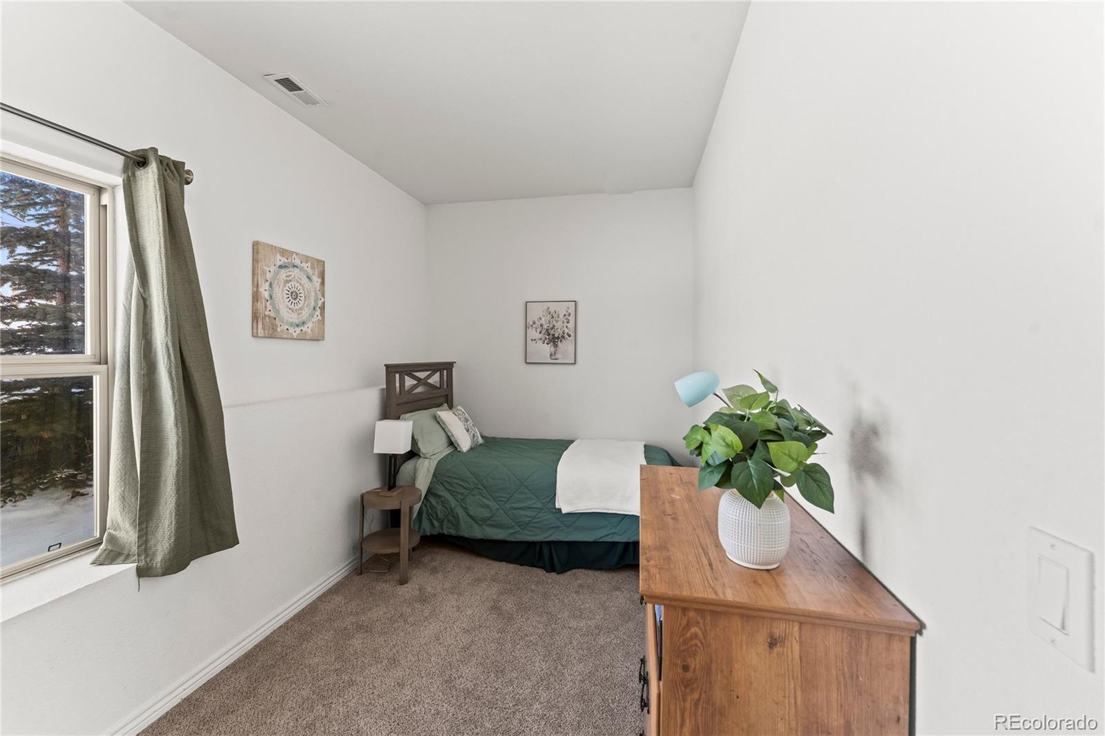 MLS Image #46 for 112  ridge point circle,divide, Colorado