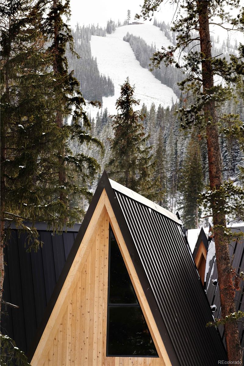MLS Image #18 for 1008  winter park drive,winter park, Colorado