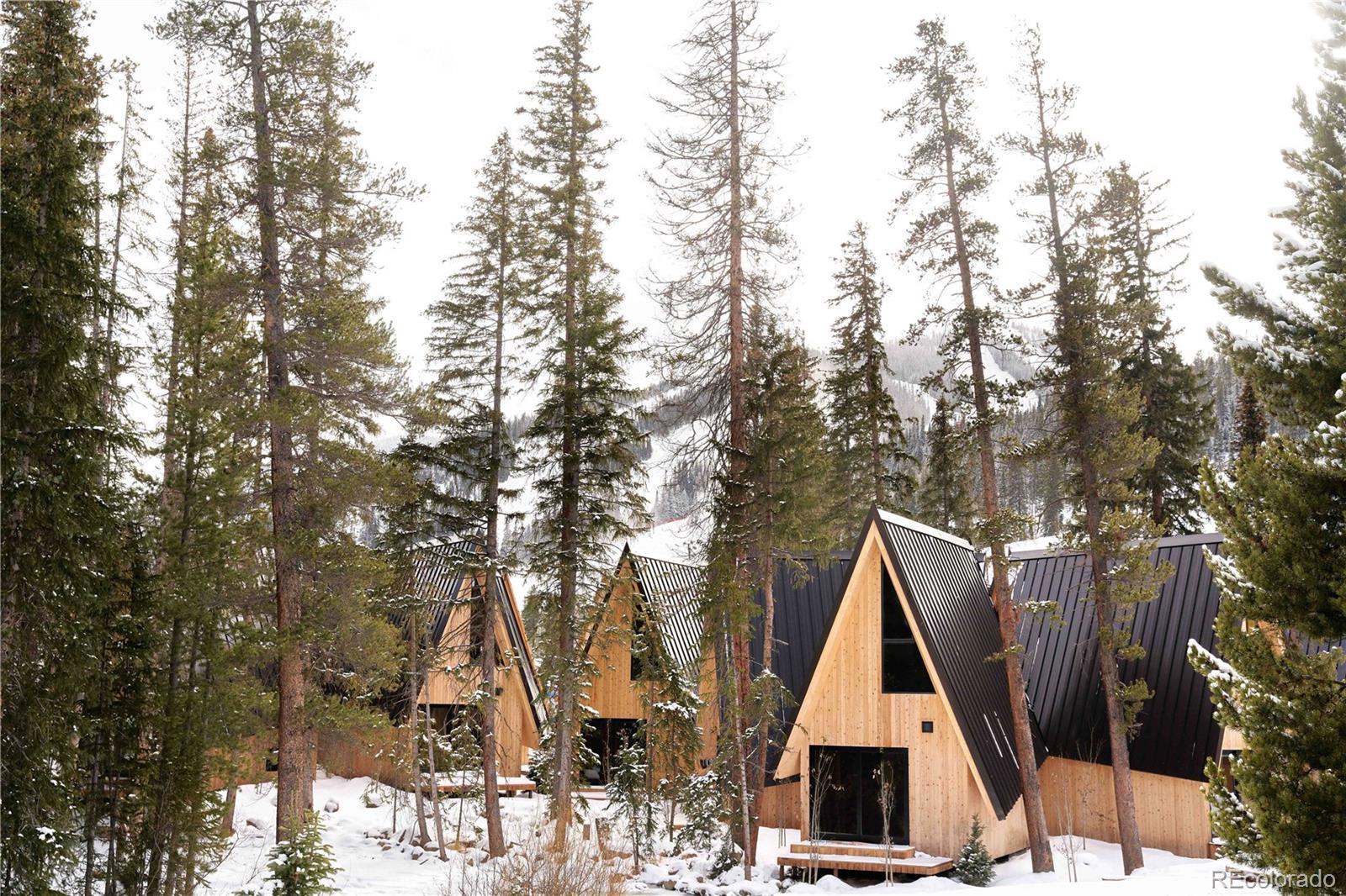 MLS Image #19 for 1008  winter park drive,winter park, Colorado
