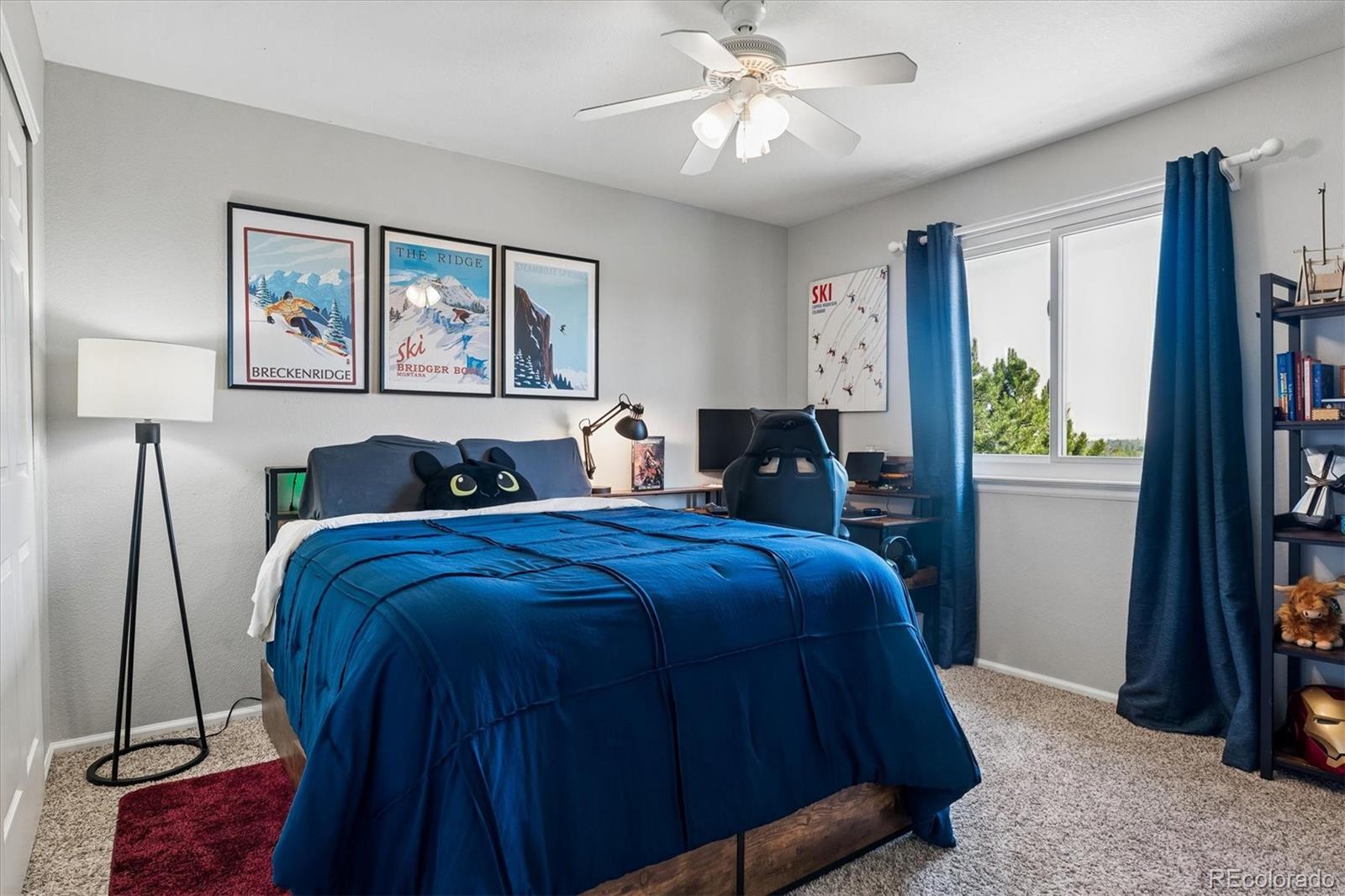 MLS Image #17 for 1282  kittery street,castle rock, Colorado