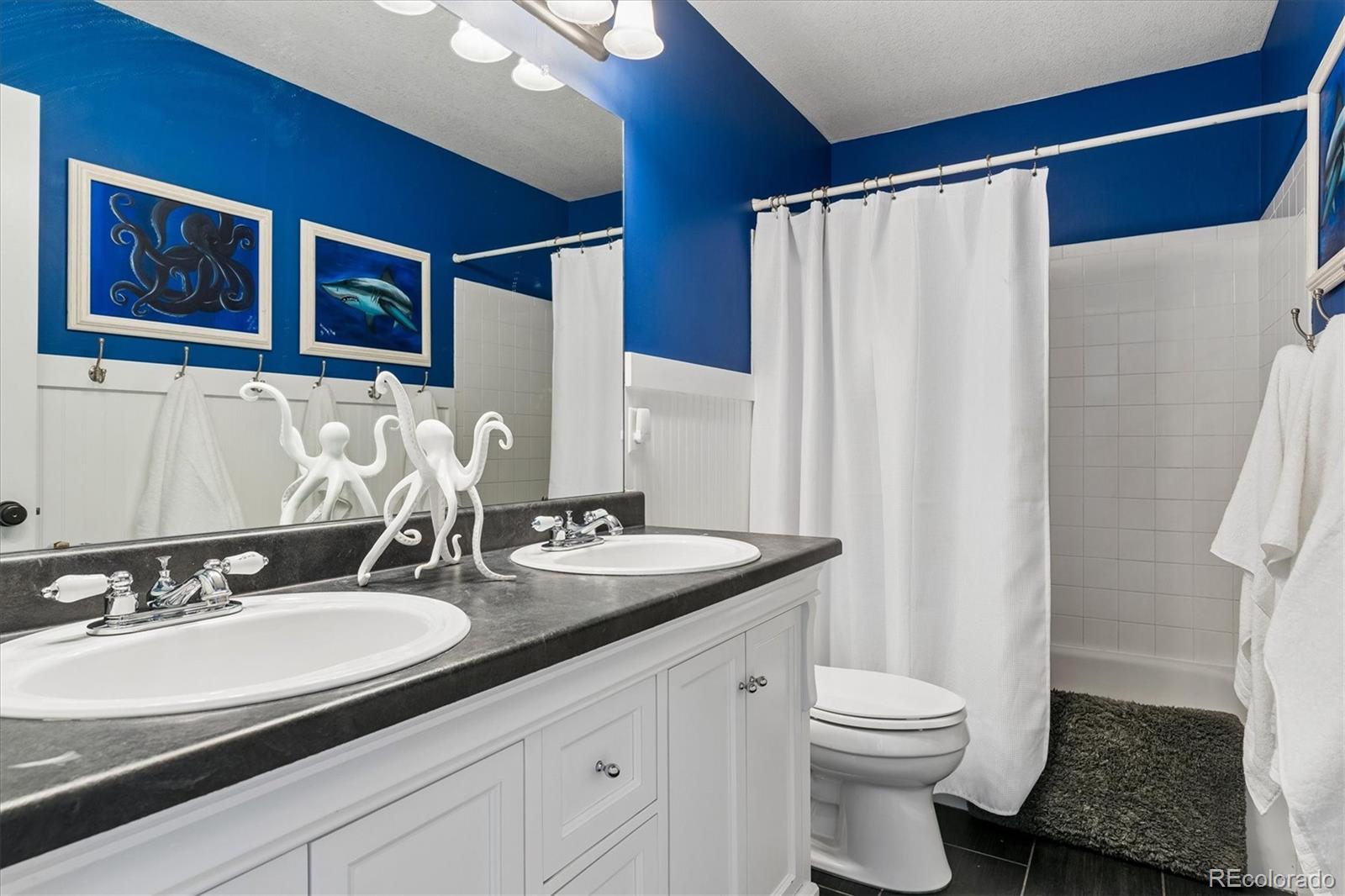 MLS Image #20 for 1282  kittery street,castle rock, Colorado