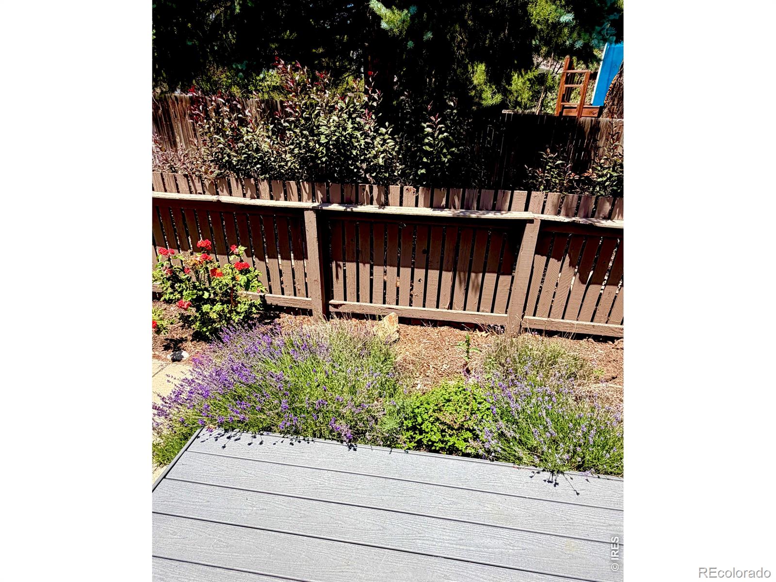 MLS Image #2 for 283 s taft court,louisville, Colorado