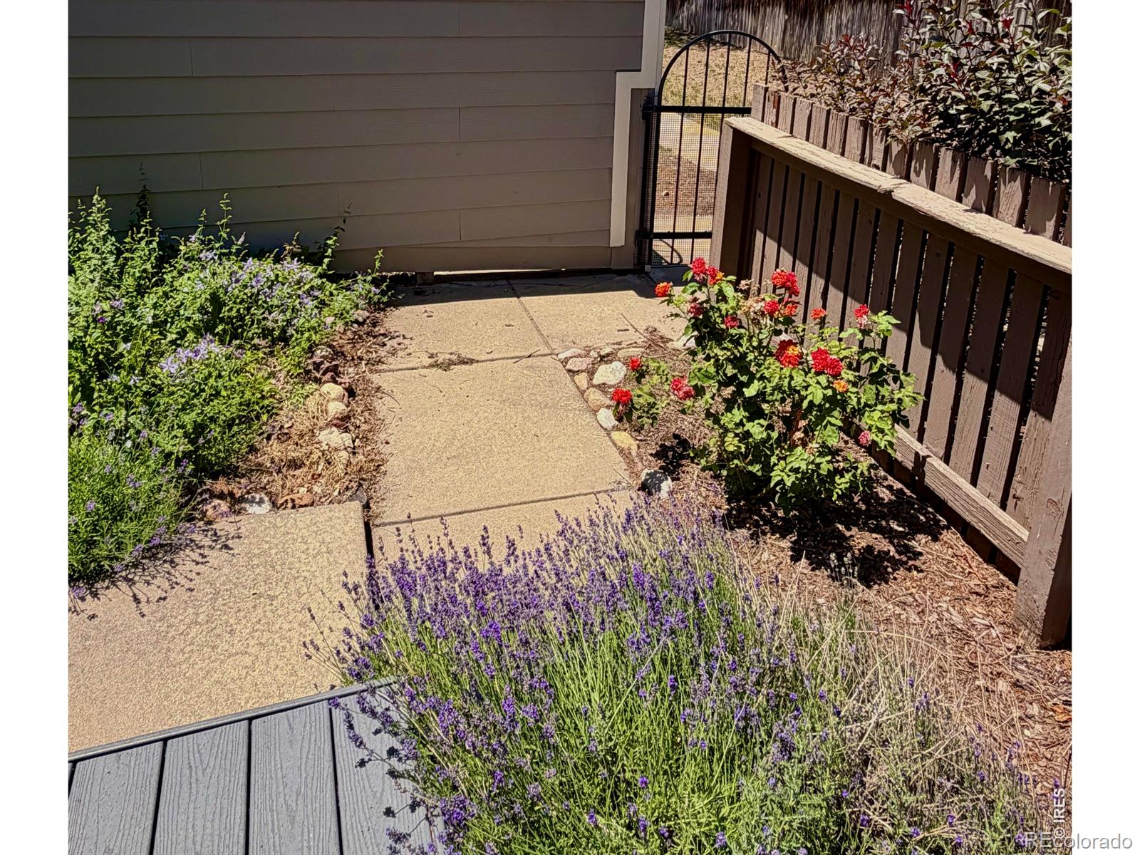 MLS Image #3 for 283 s taft court,louisville, Colorado
