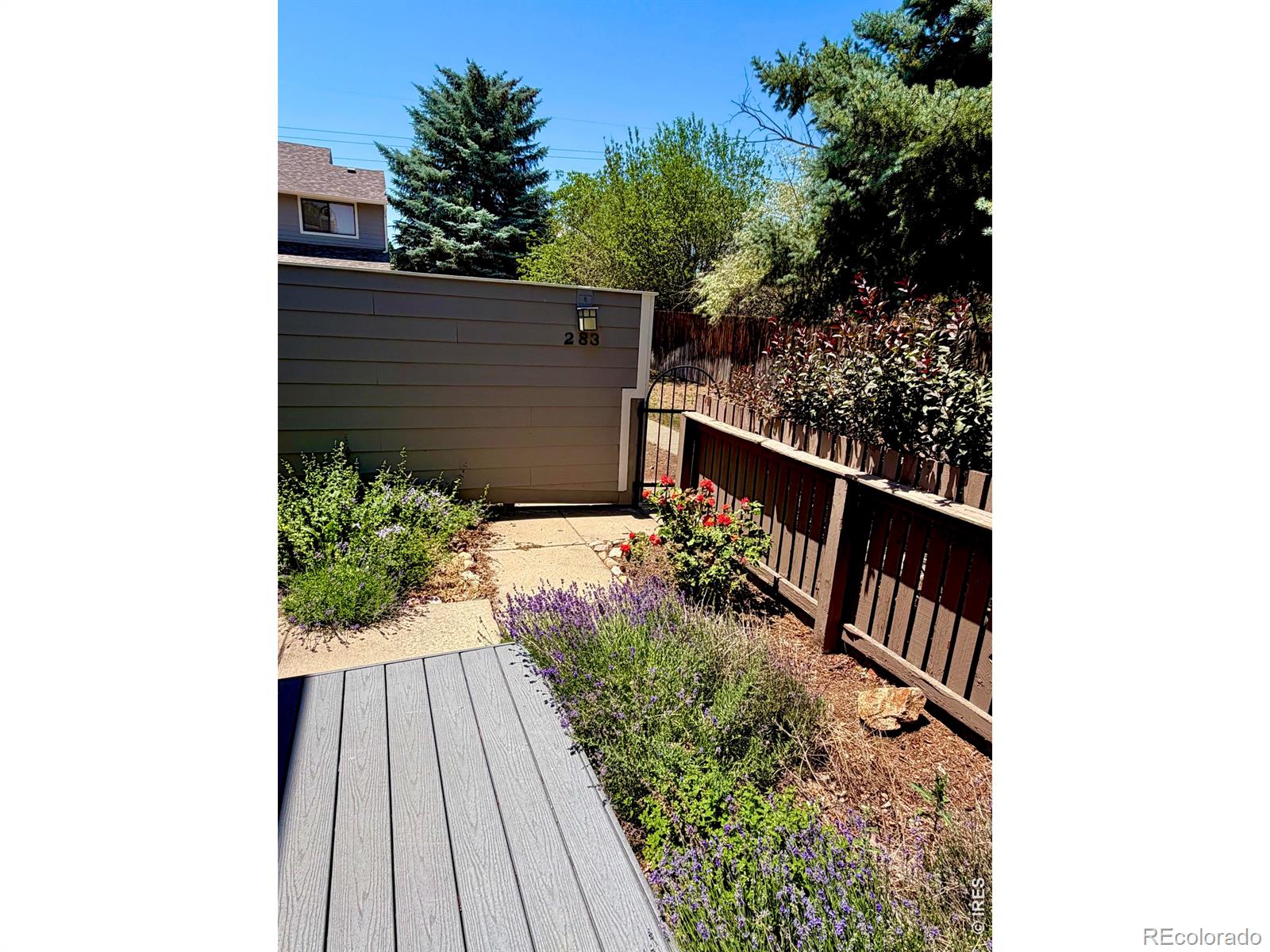 MLS Image #4 for 283 s taft court,louisville, Colorado