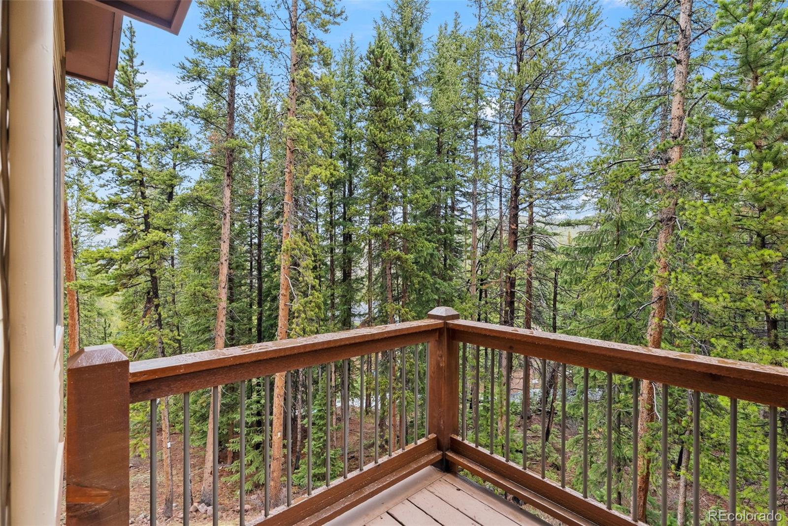 MLS Image #14 for 101  county road 531 ,breckenridge, Colorado