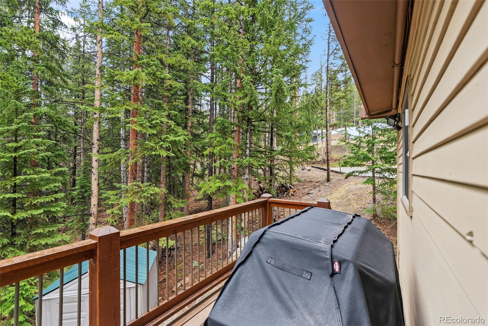 MLS Image #15 for 101  county road 531 ,breckenridge, Colorado