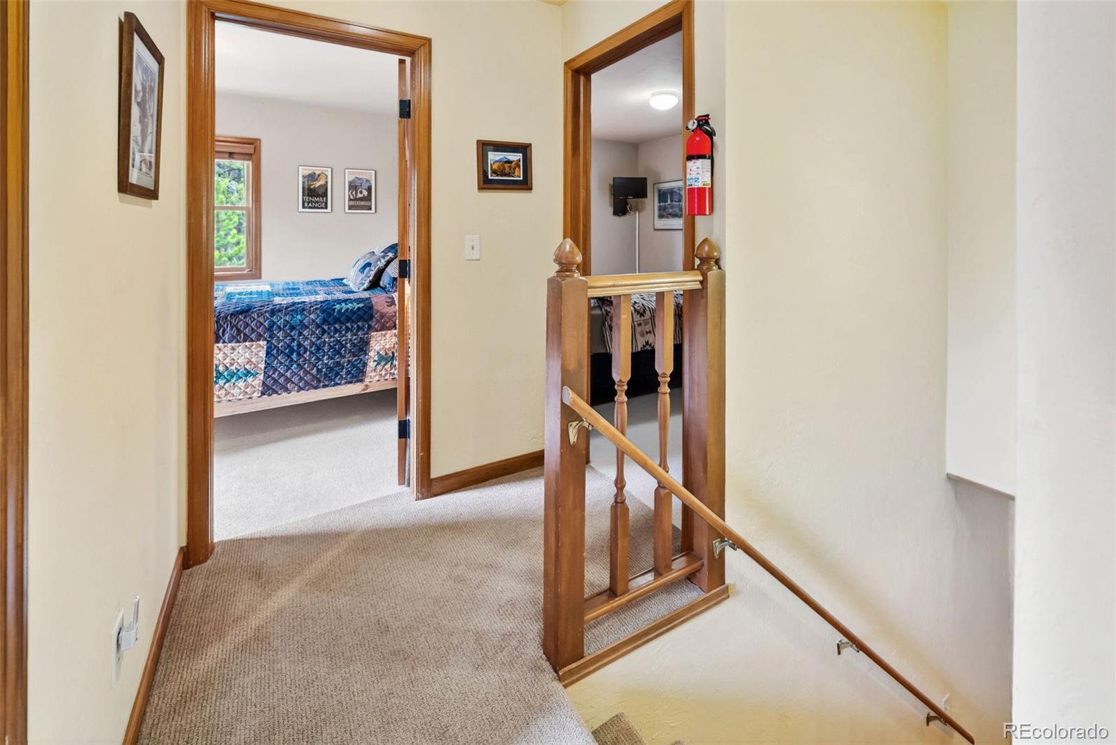 MLS Image #17 for 101  county road 531 ,breckenridge, Colorado