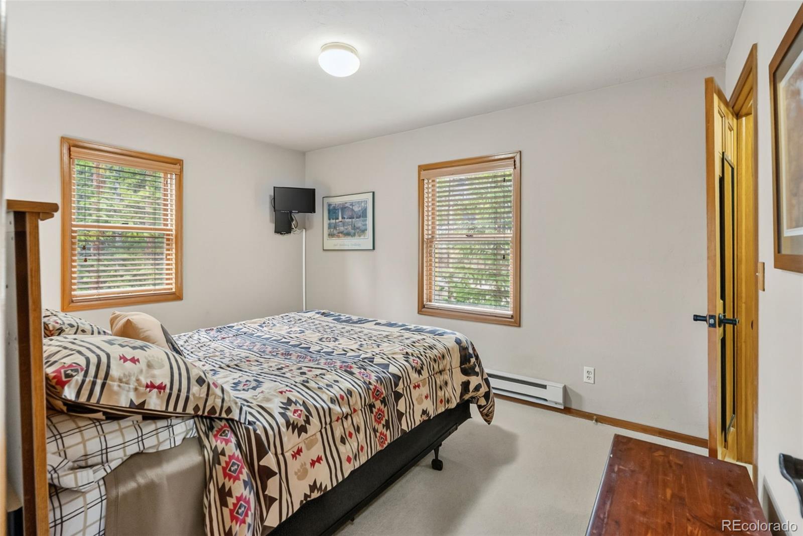 MLS Image #18 for 101  county road 531 ,breckenridge, Colorado
