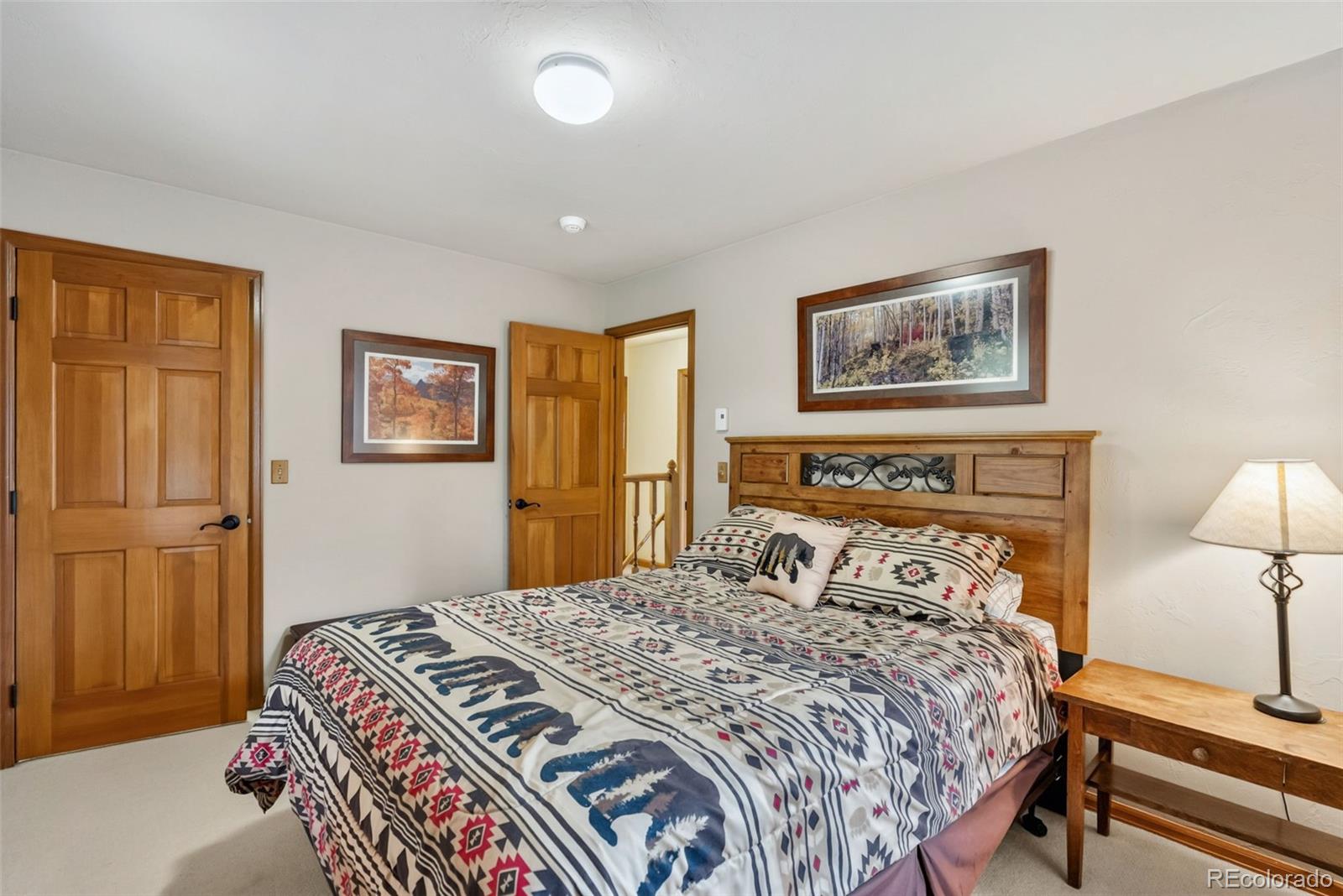 MLS Image #19 for 101  county road 531 ,breckenridge, Colorado