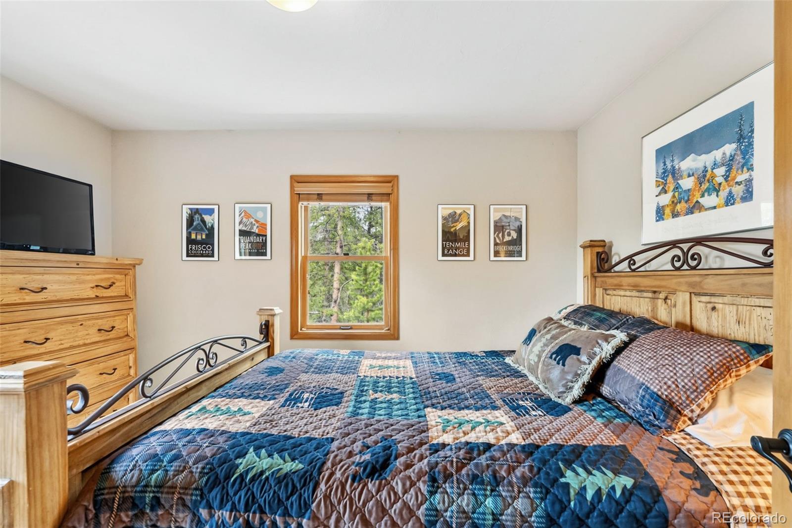MLS Image #20 for 101  county road 531 ,breckenridge, Colorado