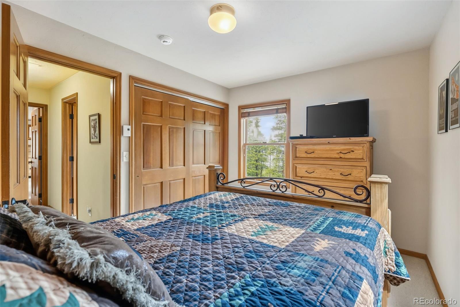 MLS Image #21 for 101  county road 531 ,breckenridge, Colorado
