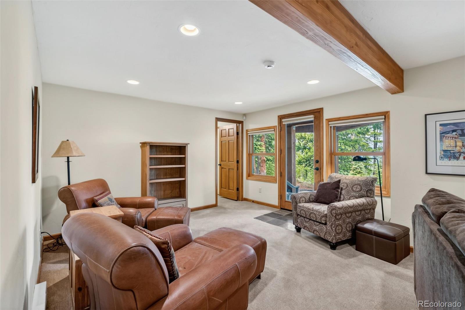 MLS Image #30 for 101  county road 531 ,breckenridge, Colorado