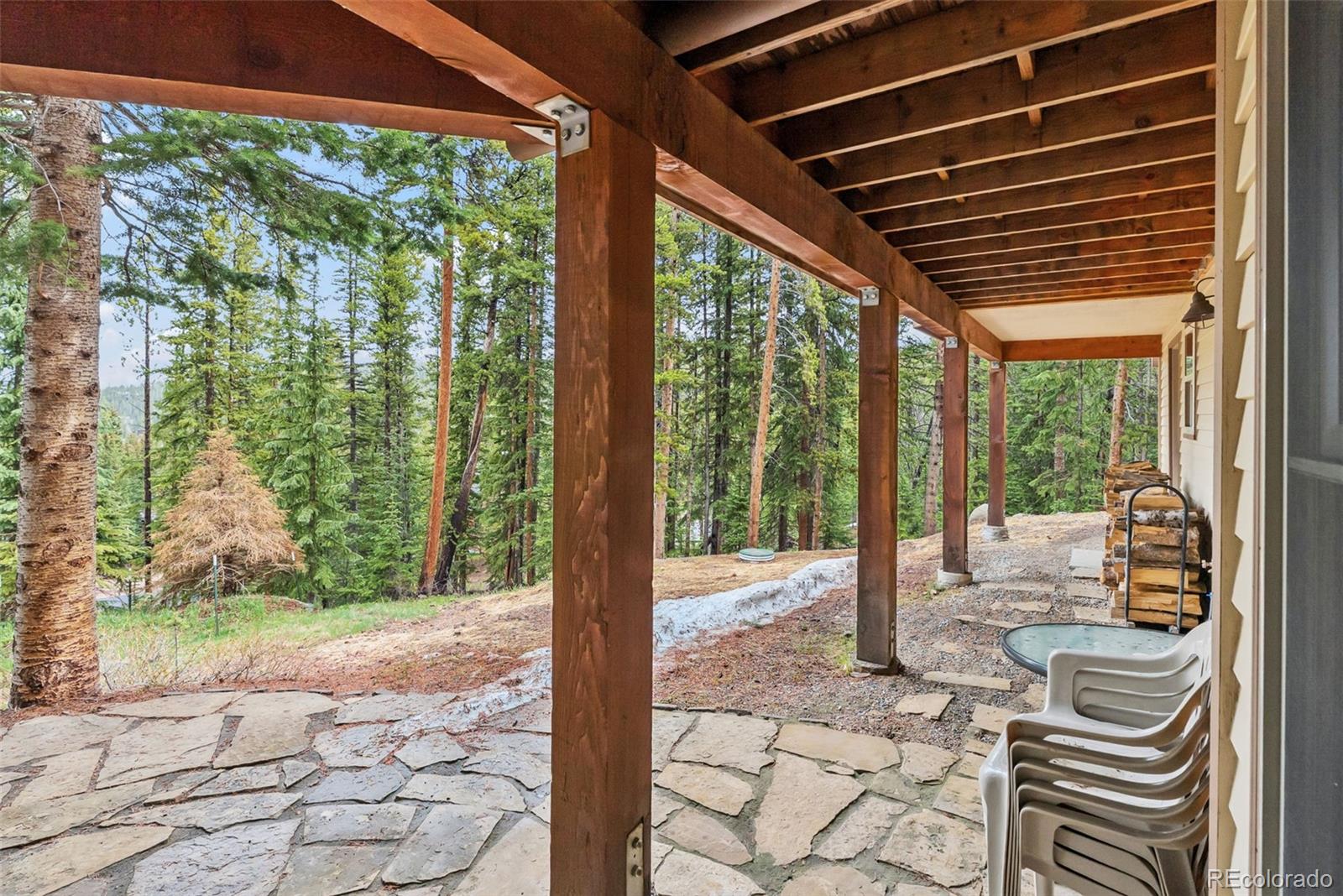 MLS Image #36 for 101  county road 531 ,breckenridge, Colorado