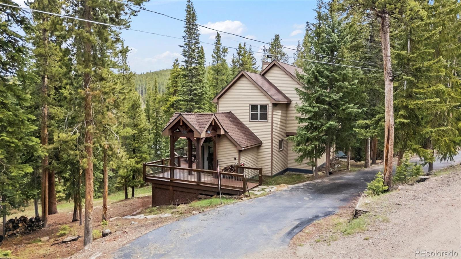 MLS Image #39 for 101  county road 531 ,breckenridge, Colorado