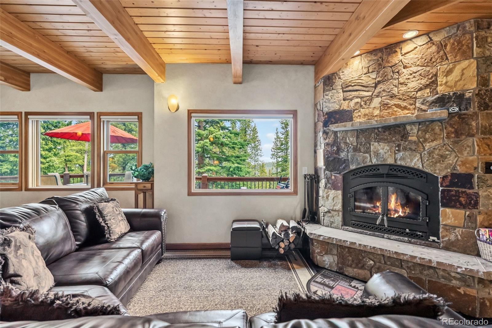 MLS Image #4 for 101  county road 531 ,breckenridge, Colorado