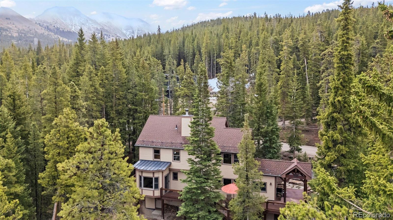 MLS Image #44 for 101  county road 531 ,breckenridge, Colorado
