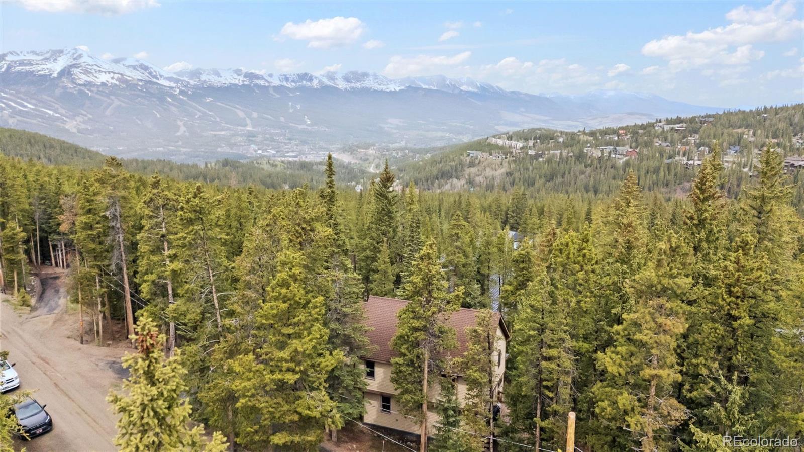MLS Image #45 for 101  county road 531 ,breckenridge, Colorado