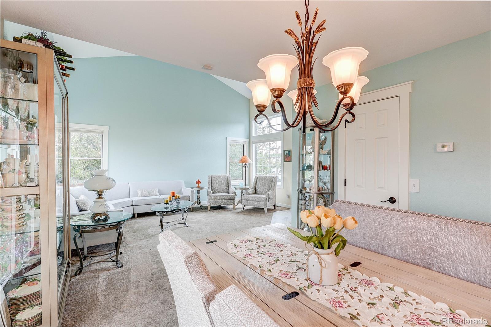 MLS Image #15 for 407  balsa drive,castle rock, Colorado