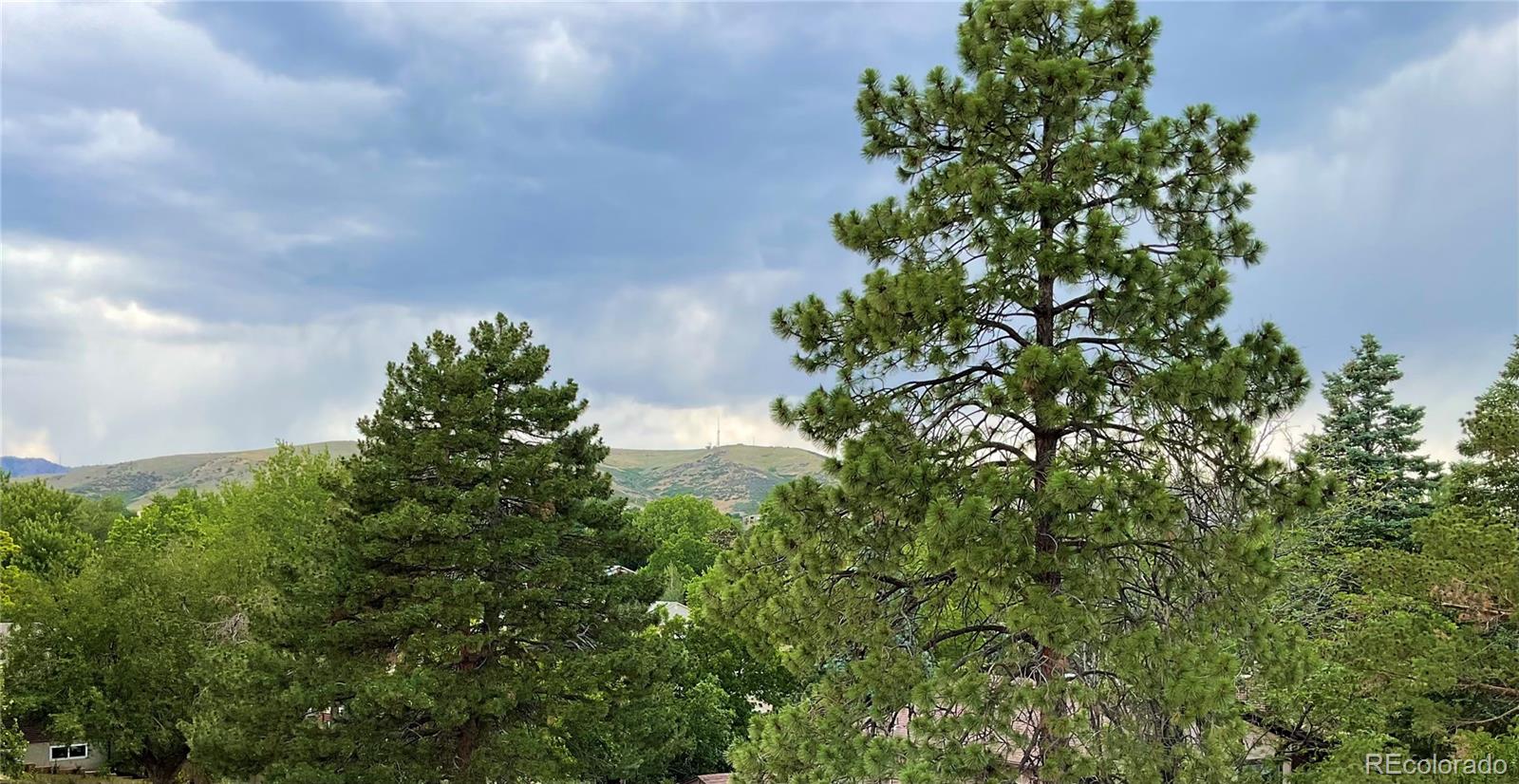 MLS Image #46 for 1221 s ward court,denver, Colorado