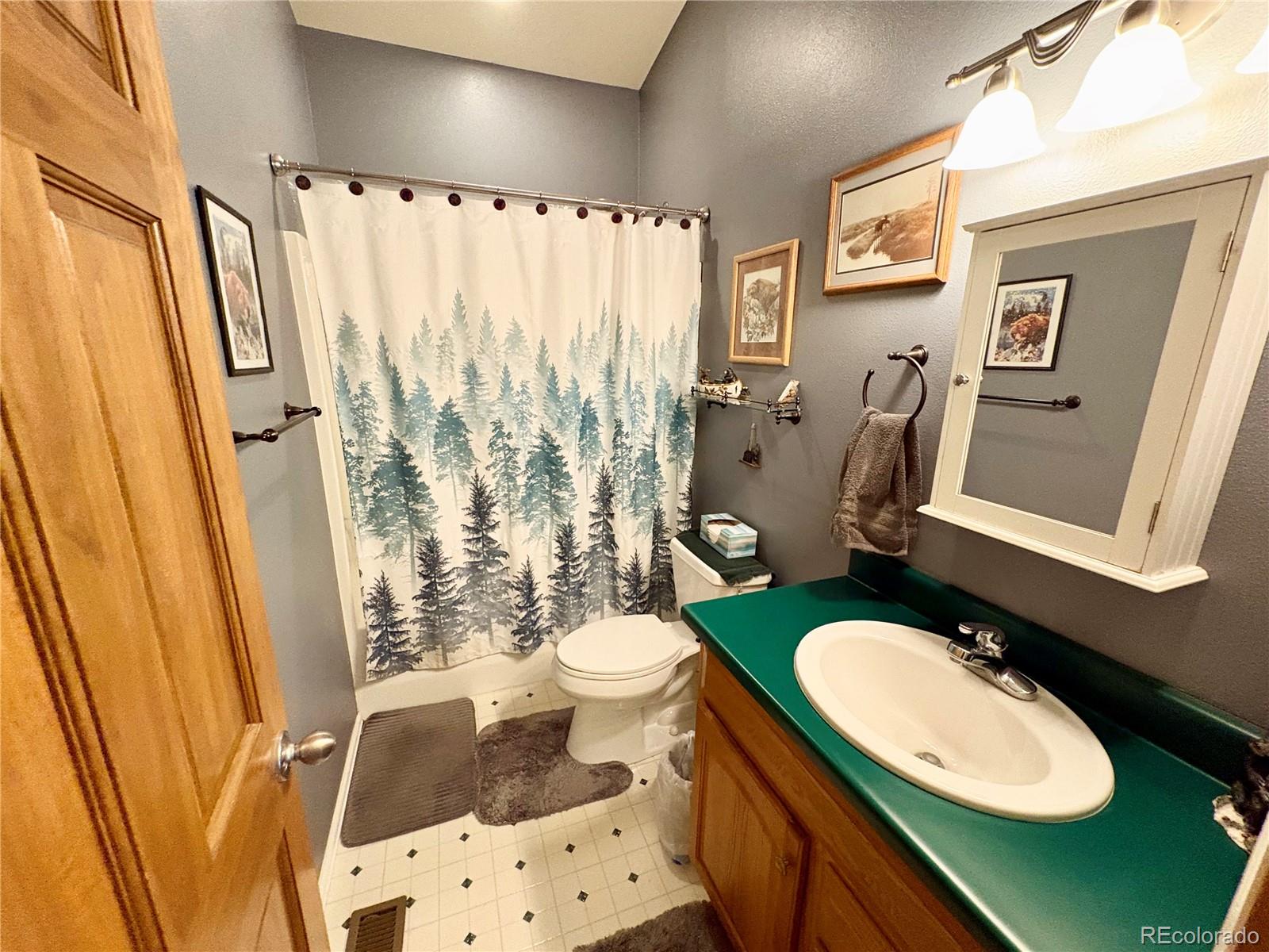 MLS Image #20 for 16602  holly court,buena vista, Colorado