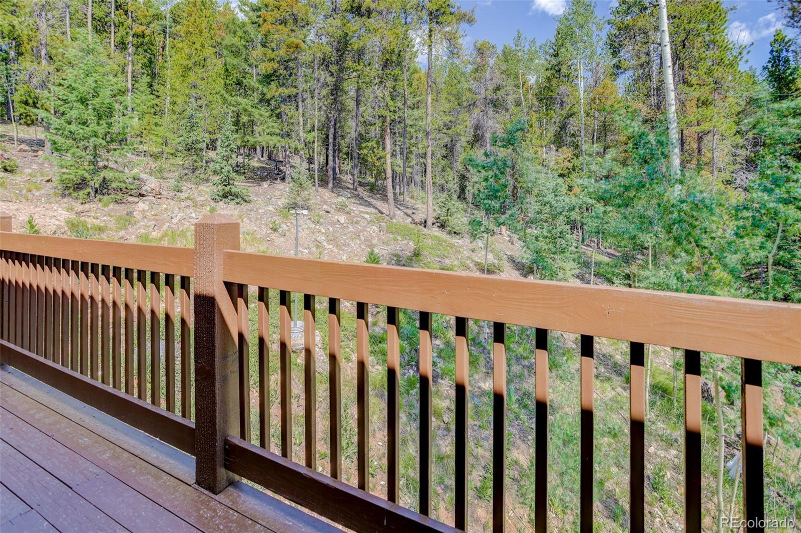 MLS Image #14 for 11549  nichols way,conifer, Colorado