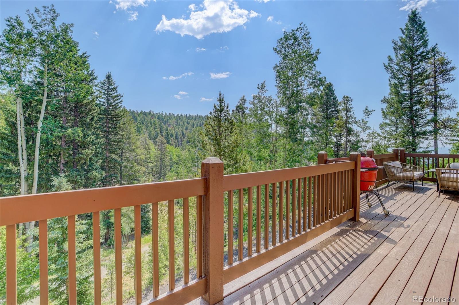 MLS Image #15 for 11549  nichols way,conifer, Colorado