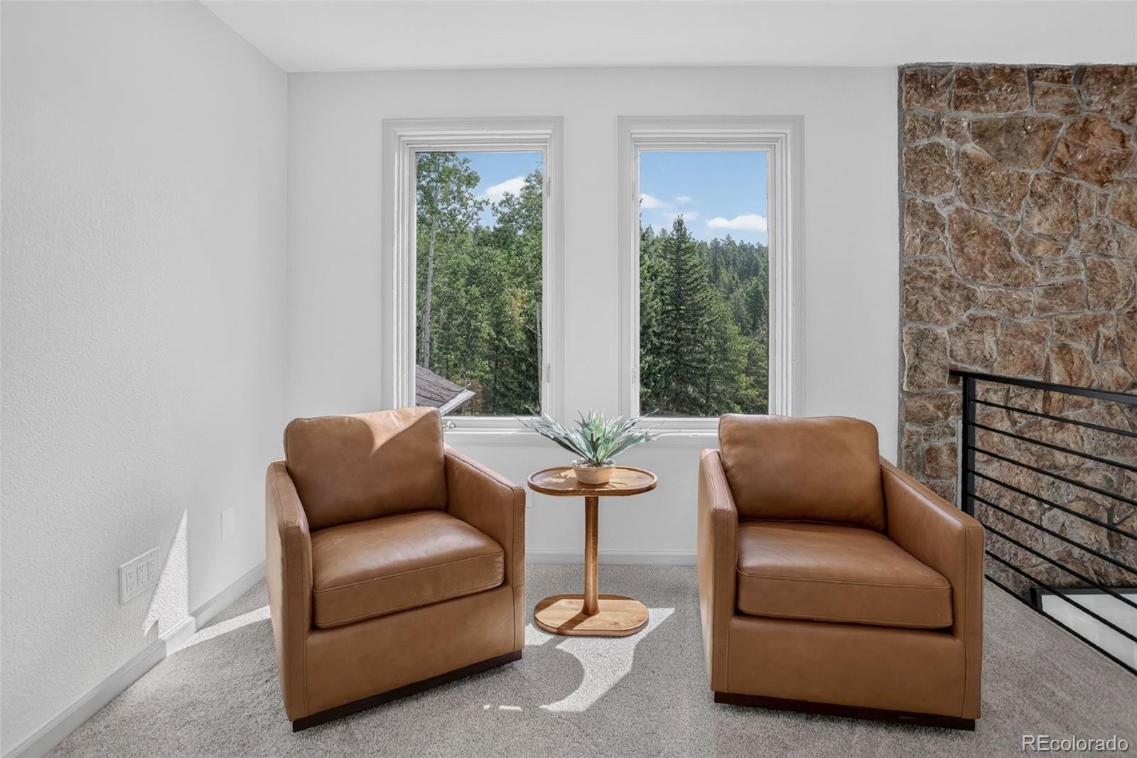 MLS Image #28 for 11549  nichols way,conifer, Colorado