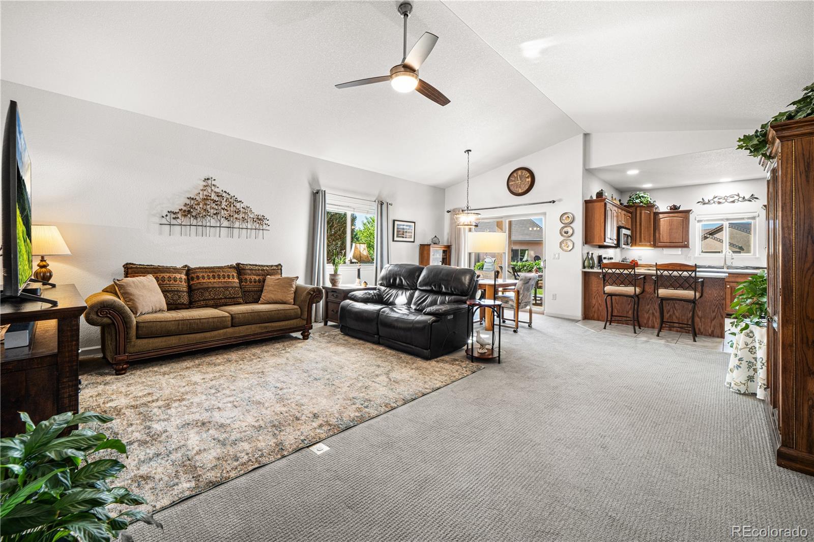 MLS Image #8 for 3028 n cranberry loop,canon city, Colorado