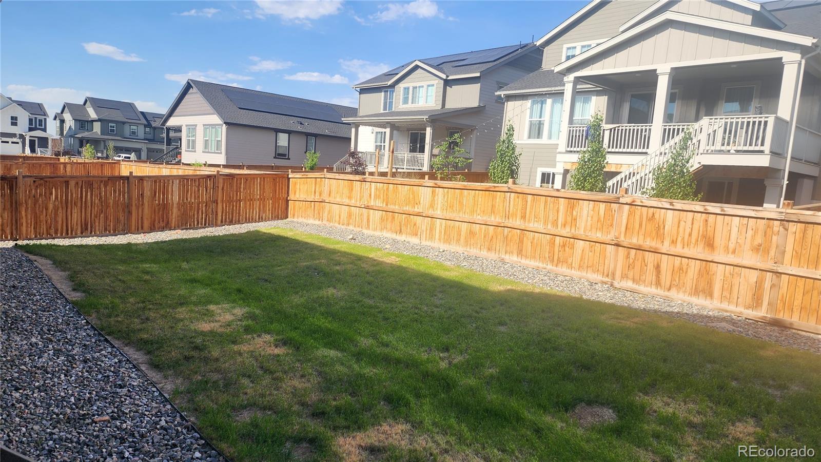 MLS Image #4 for 583  winterfield street,erie, Colorado