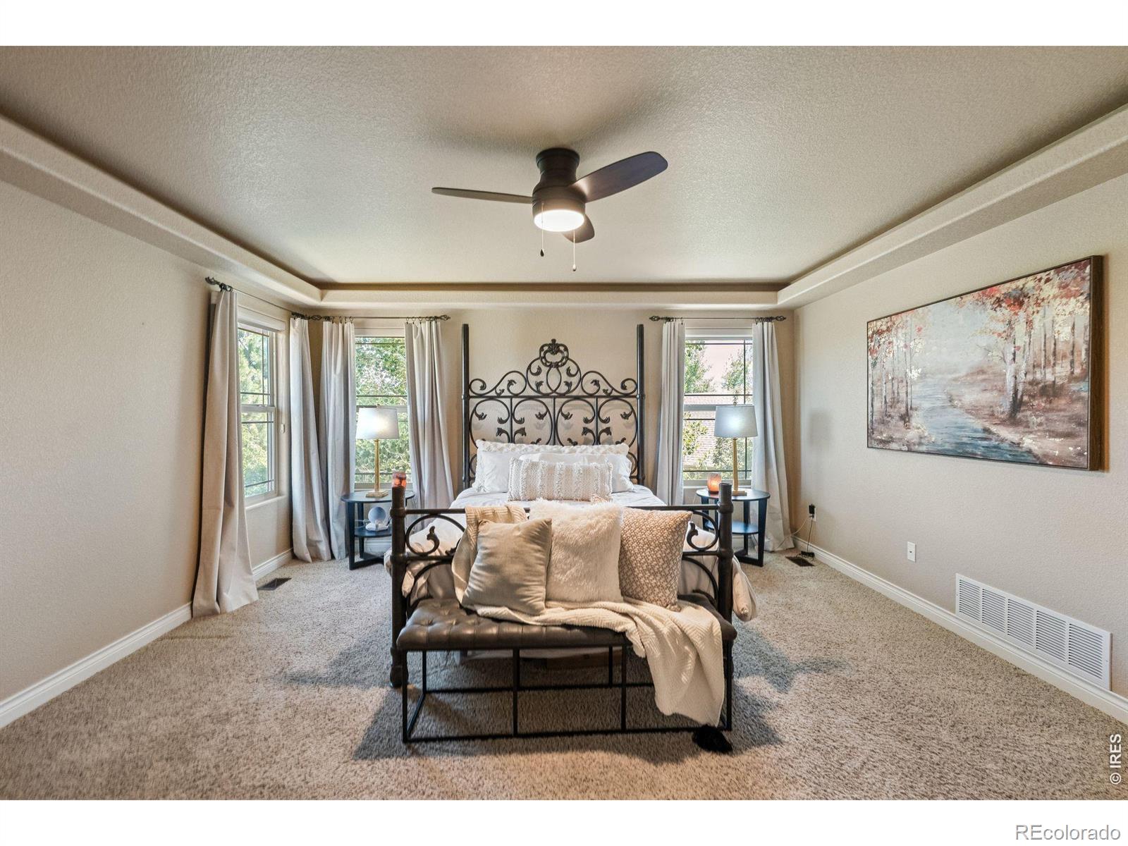 MLS Image #28 for 190  kitty hawk court,windsor, Colorado