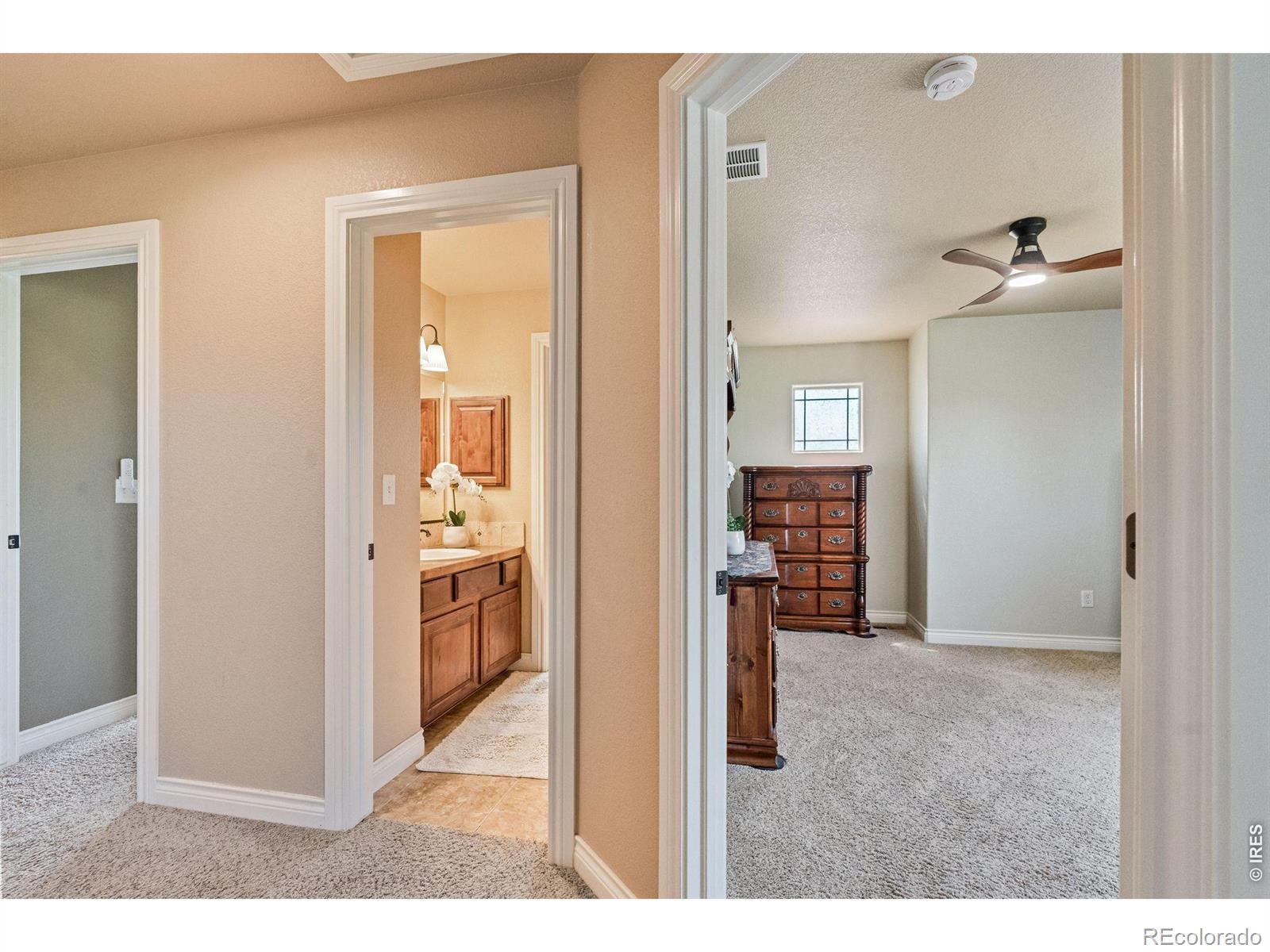 MLS Image #36 for 190  kitty hawk court,windsor, Colorado