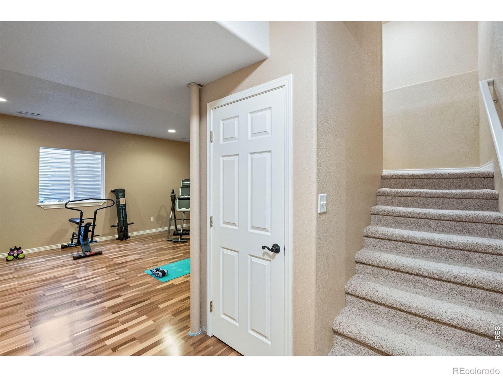 MLS Image #39 for 190  kitty hawk court,windsor, Colorado