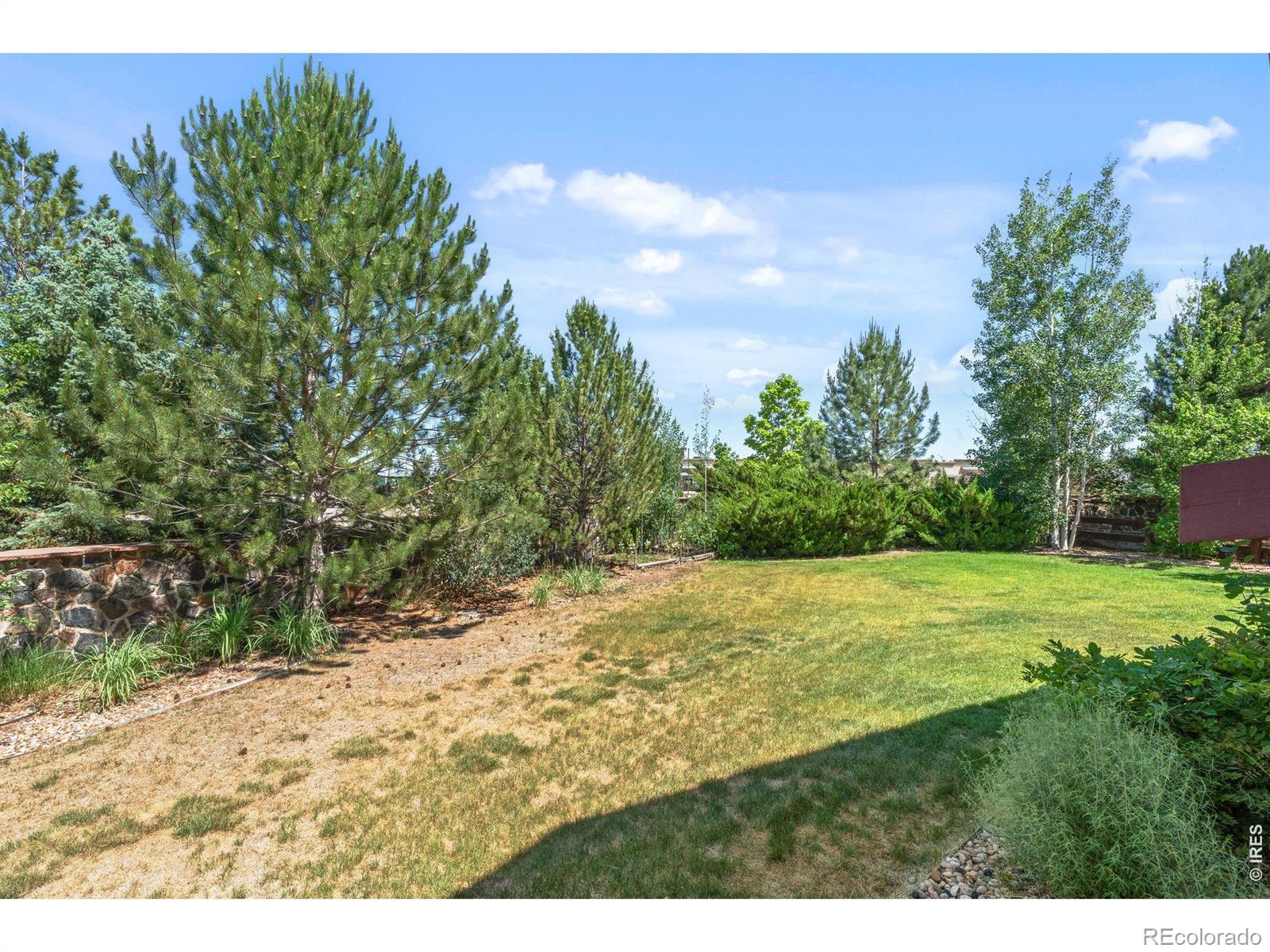 MLS Image #46 for 190  kitty hawk court,windsor, Colorado