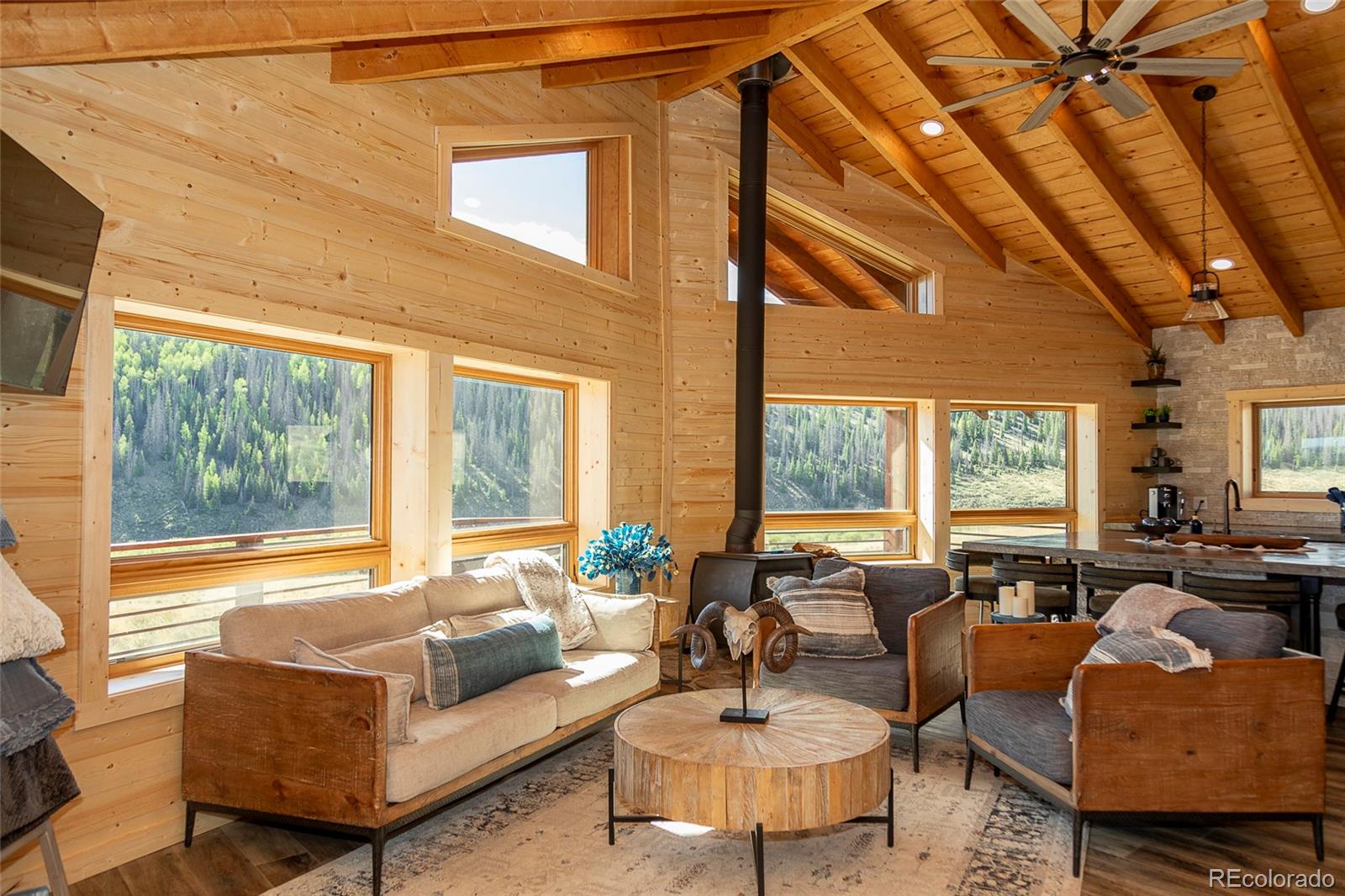 MLS Image #14 for 1001  county rd 17 ,lake city, Colorado