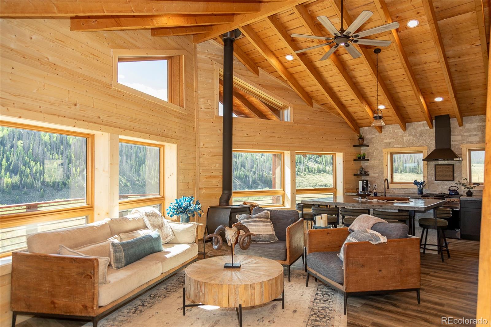 MLS Image #15 for 1001  county rd 17 ,lake city, Colorado