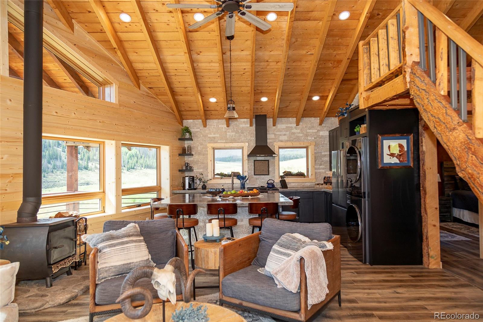 MLS Image #21 for 1001  county rd 17 ,lake city, Colorado