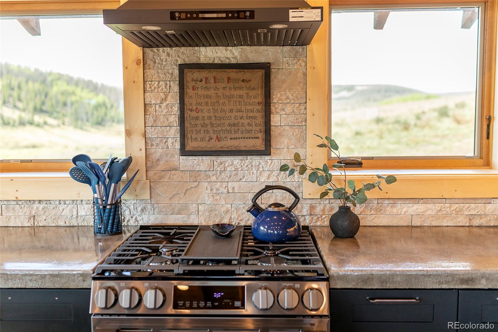 MLS Image #22 for 1001  county rd 17 ,lake city, Colorado