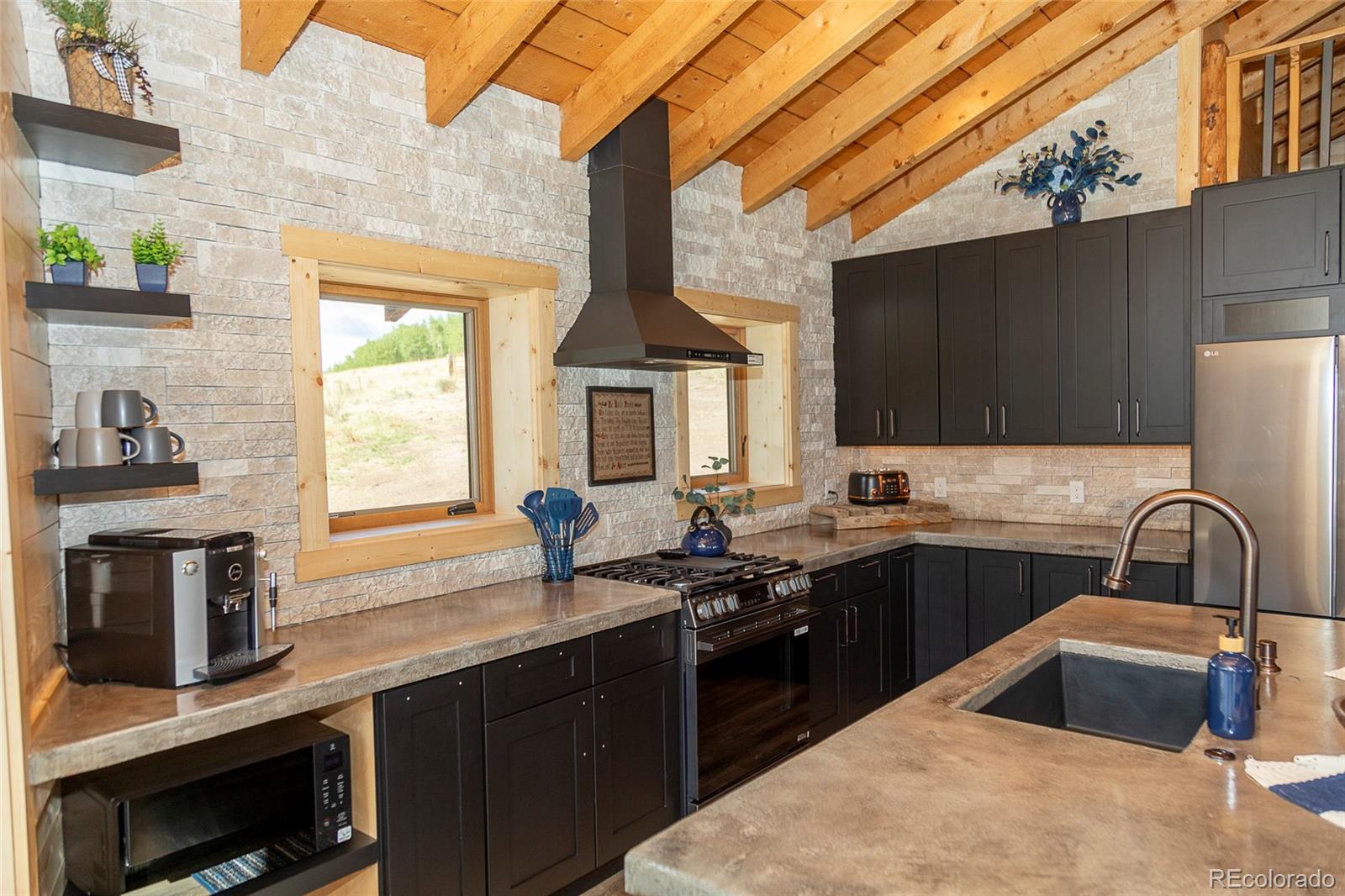 MLS Image #3 for 1001  county rd 17 ,lake city, Colorado