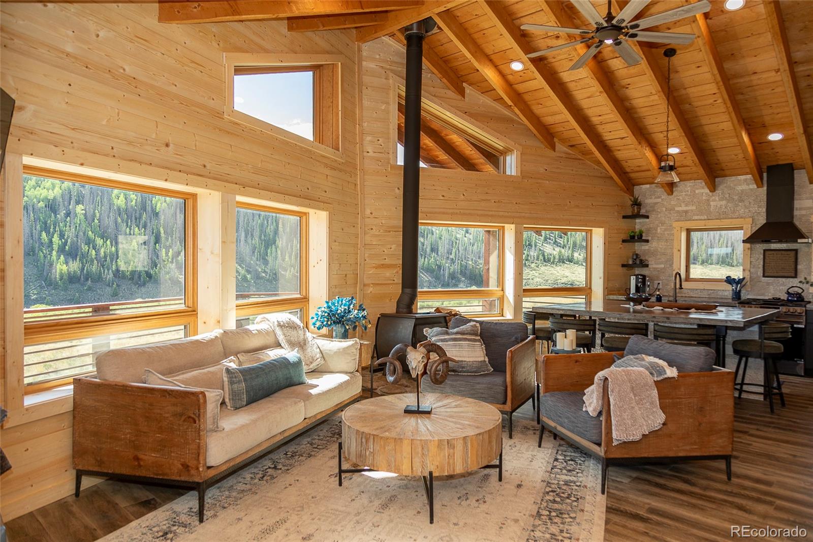 MLS Image #4 for 1001  county rd 17 ,lake city, Colorado