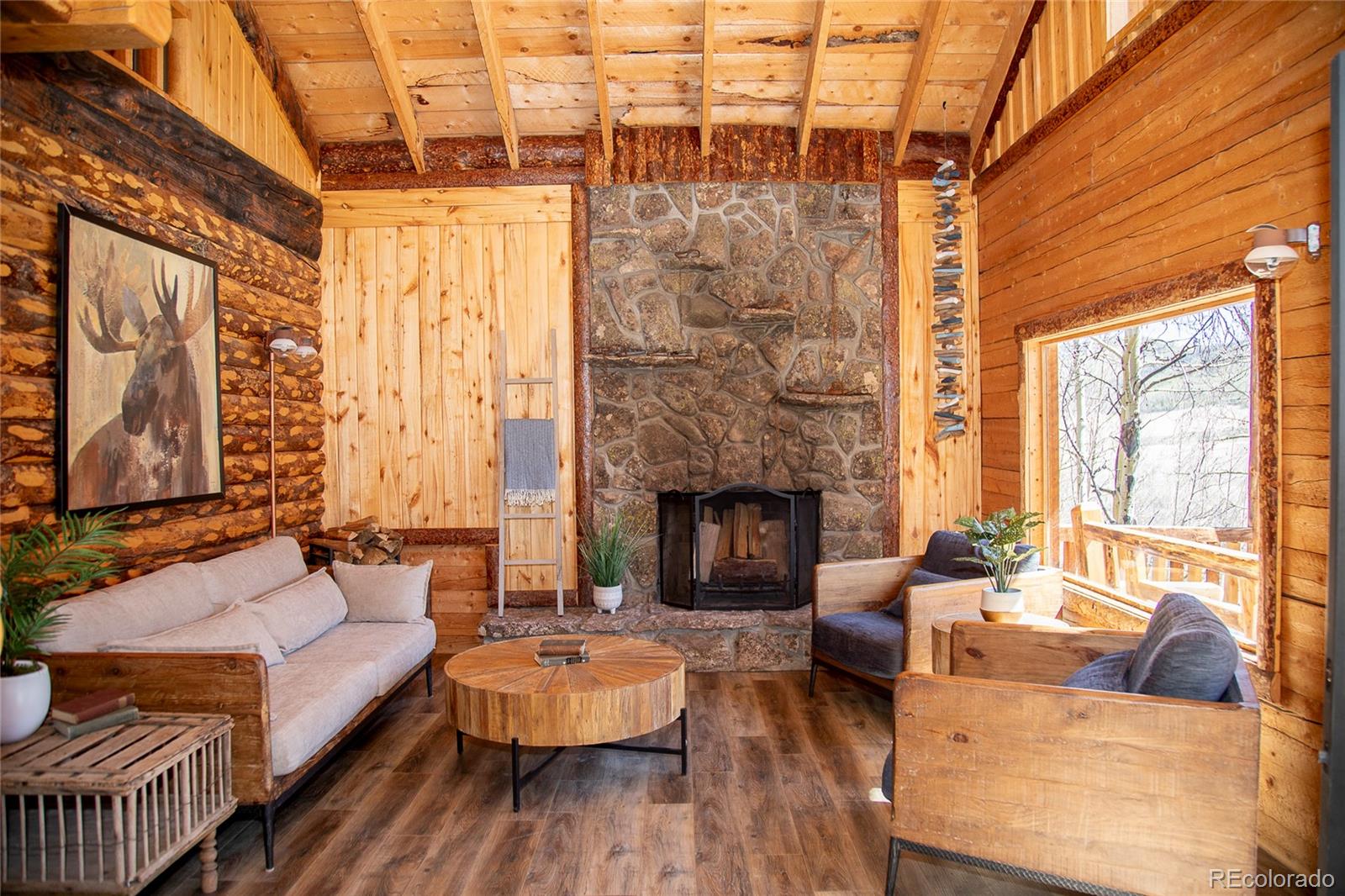 MLS Image #10 for 1001  county rd 17 ,lake city, Colorado